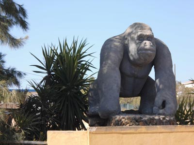 Der Gorilla markiert die Einfahrt zum Zoo.